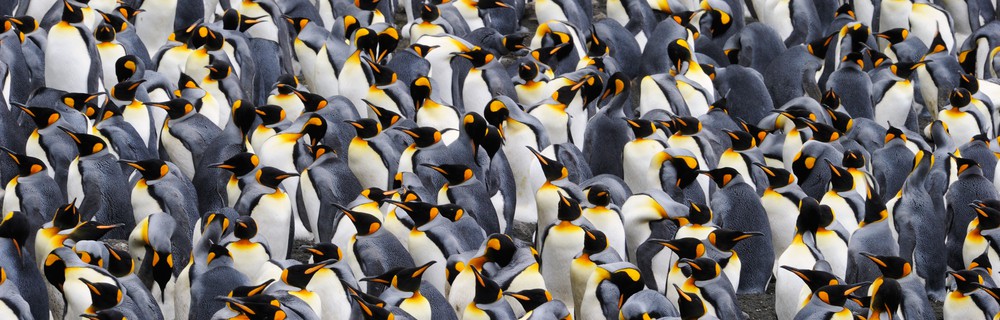 <strong>What is So Unique About You?</strong><br />Protectable IP is often what sets you apart in a crowded space. The more you innovate, the more people will copy you. You're not sure what to do to stand out? We can help.
